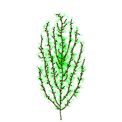 A tree that has been scaled horizontally by 0.6